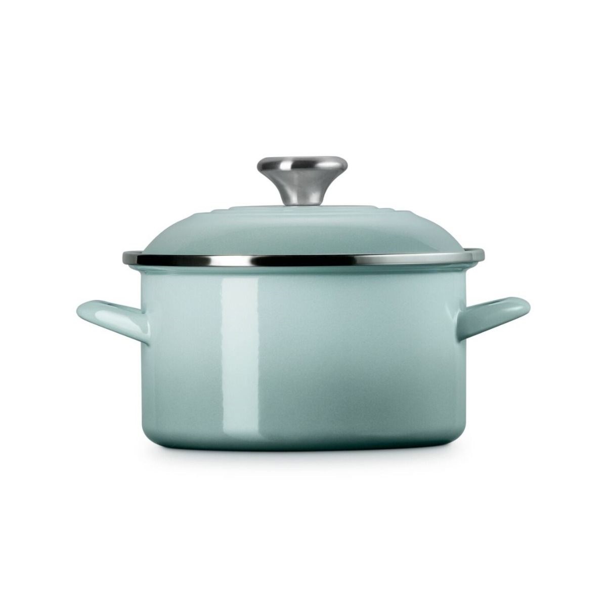  Le Creuset 3.8 Qt. Petite Enamel On Steel Stockpot | Sea Salt