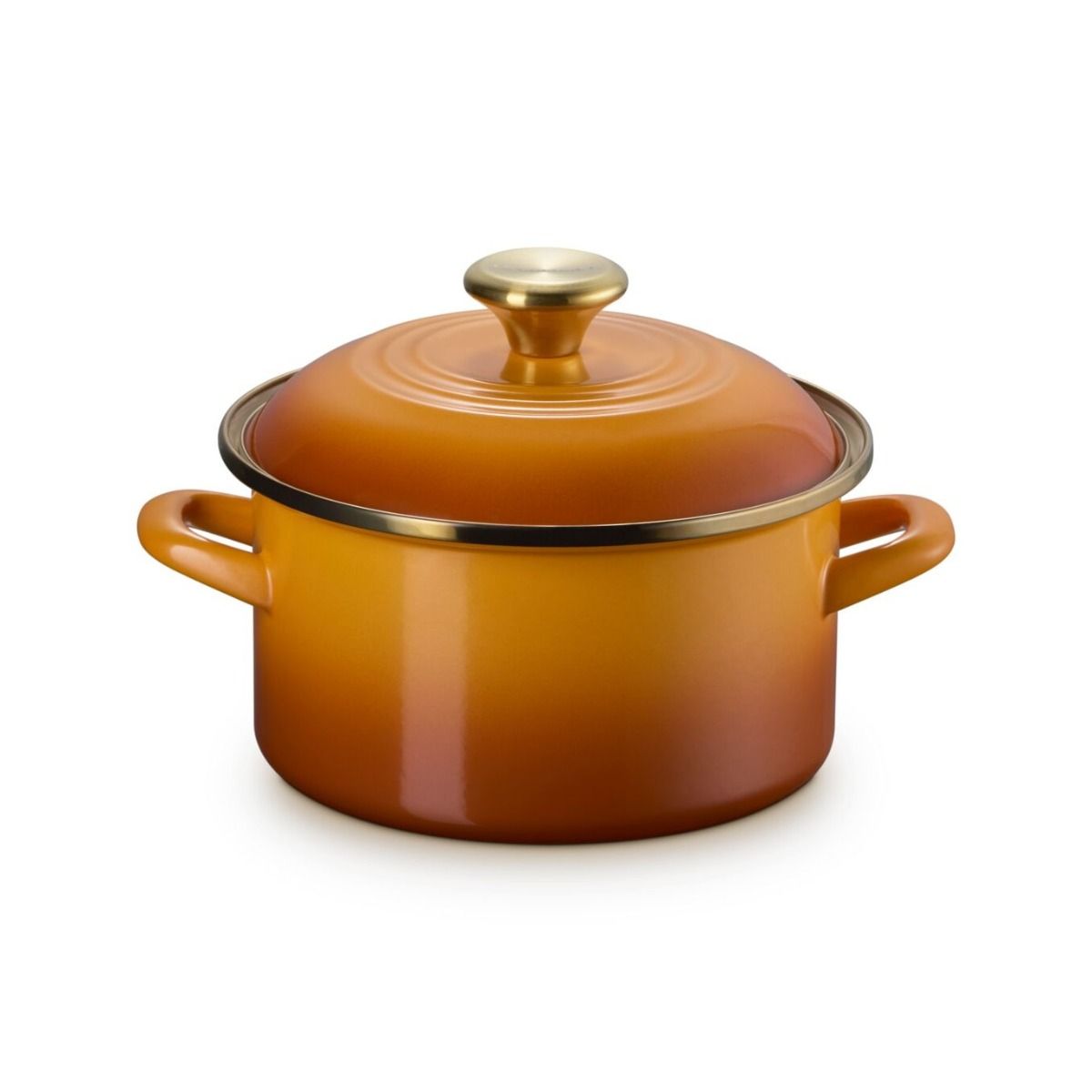  Le Creuset 3.8 Qt. Petite Enamel On Steel Stockpot | Persimmon With Gold Knob