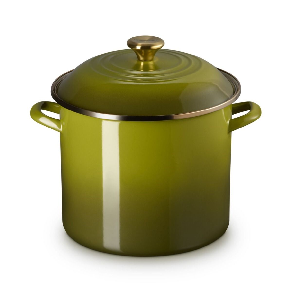 Le Creuset 12 Qt. Enamel On Steel Stockpot With Stainless Steel Knob | Olive