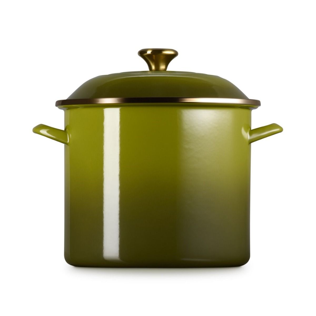  Le Creuset 12 Qt. Enamel On Steel Stockpot With Stainless Steel Knob | Olive
