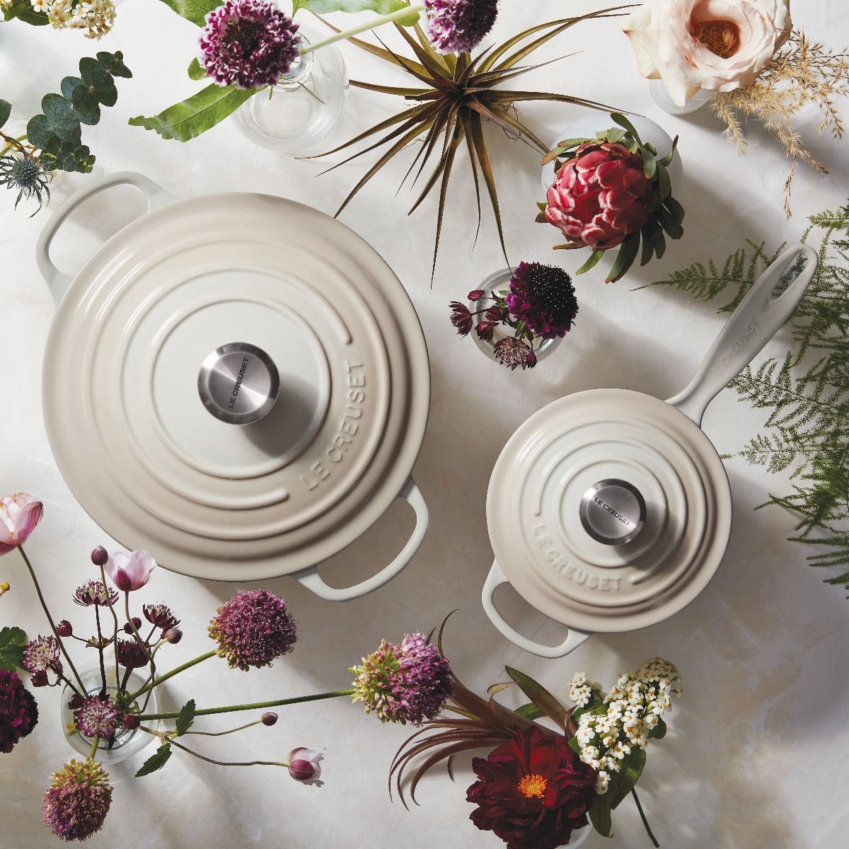  Le Creuset 5.5 Qt. Round Signature Cast Iron Dutch Oven With Stainless Steel Knob | Meringue White